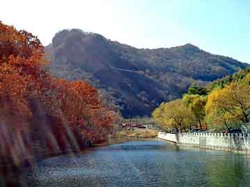 澳门二四六天天彩图库，木瓜去皮机